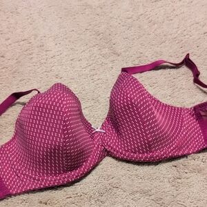 Elegant Fuchsia Dotted Bra